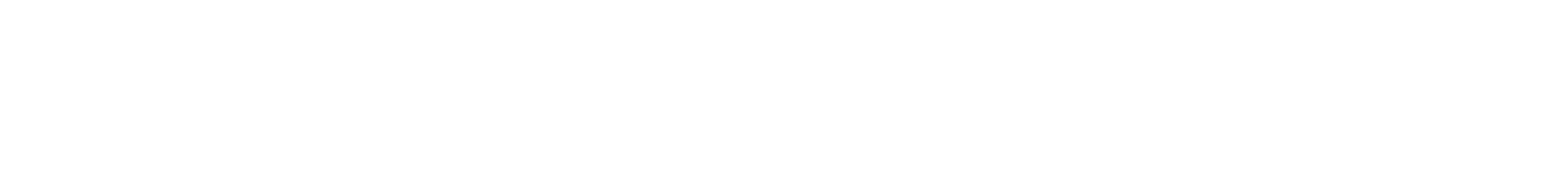 Magic Plus CRM